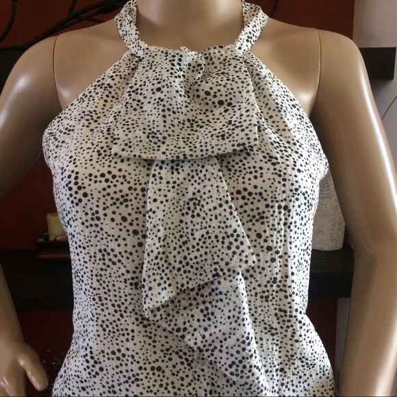 Ann Taylor Silk Ruffle Front Halter Polka Dot Blouse Top Size 2 Career Office - Picture 4 of 10